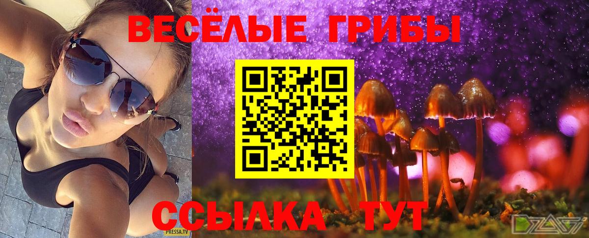Псилоцибиновые грибы MAGIC MUSHROOMS Каменск-Шахтинский