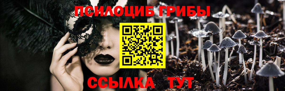 Каменск-Шахтинский  Псилоцибиновые грибы Magic Shrooms  Вход с VPN  Псилоцибиновые грибы мухоморы 